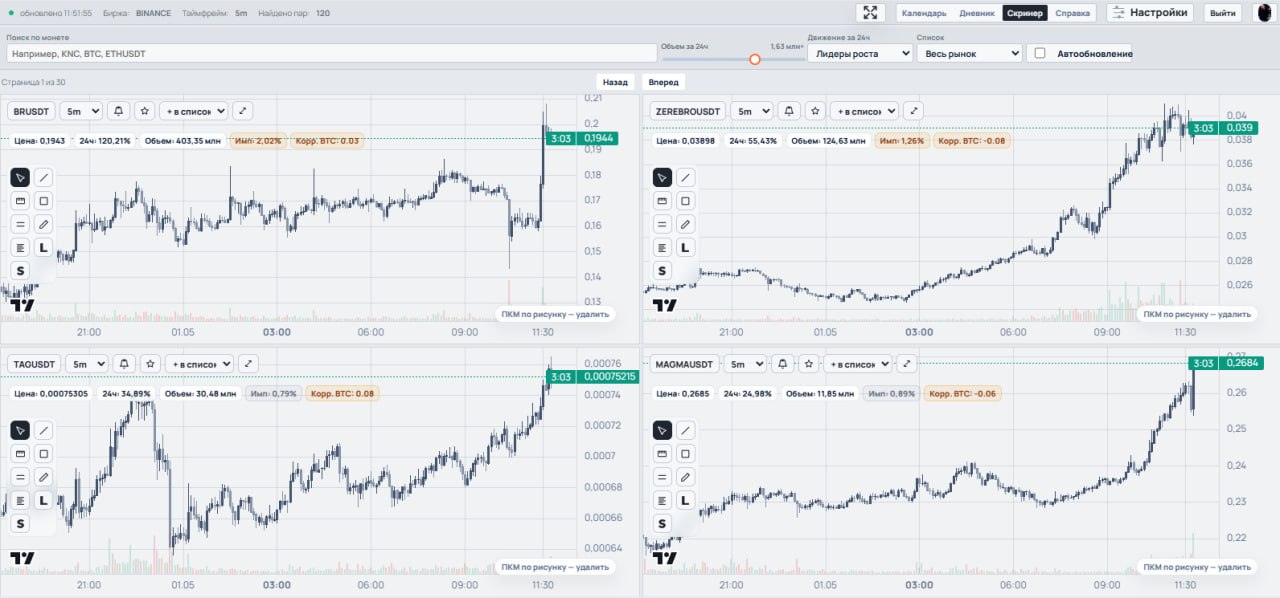 Скринер Binance для быстрого отбора монет в интерфейсе TimeNest